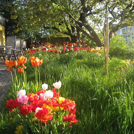 Appartmenthaeuser Sommerwind Binz